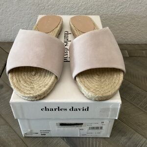 Charles David Stance Slide Sandal (Women), size 9